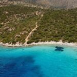 Orak island Boat Tour - What About the Price and Value?