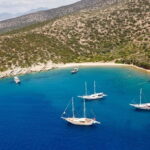 Orak island Boat Trip Bodrum - What to Expect from the Trip