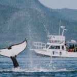 Orca Cove Sea Kayaking - The Value of This Experience