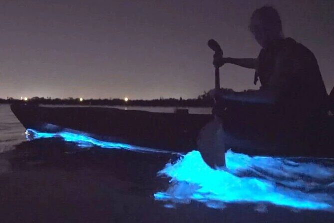 Orcas Island Bioluminescence Kayaking Tour - Key Points