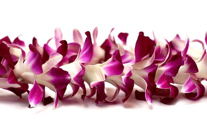 Orchid Airport Lei Greeting (Maui, Kahului Airport, OGG) - What to Expect Upon Arrival