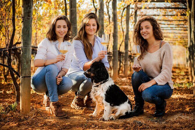 Organic Family Winery Experience in Liguria - The Wines and Sights