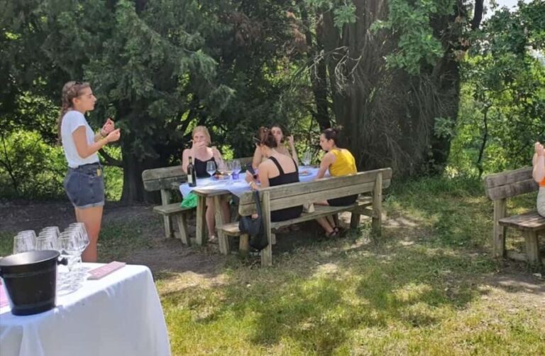 Organic Winery Visit with Wine & Food Tasting in Bologna - What to Expect: The Tour Breakdown