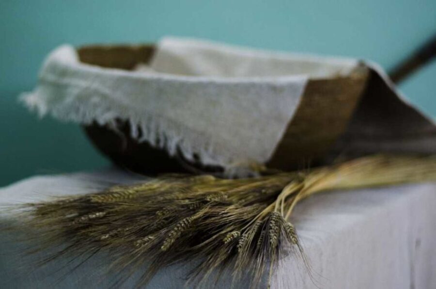 Orgosolo: Bread Workshop and Visit to the Bread Museum - The Hands-On Bread-Making Experience