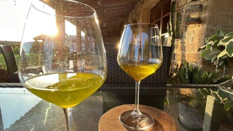 Oristano: visit a farm with oil tasting - A Deep Dive into the Olive Farm Tour