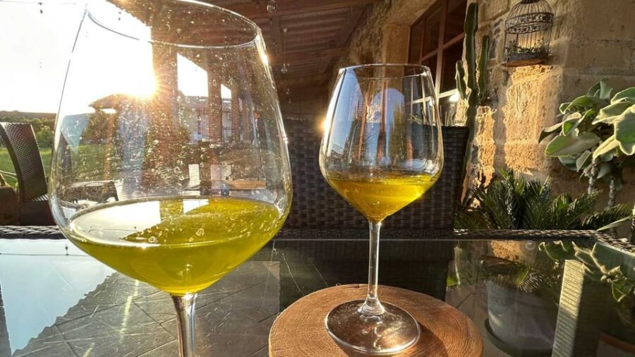 Oristano: visit a farm with oil tasting - A Deep Dive into the Olive Farm Tour