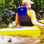 Orlando Manatee Encounters - Wildlife and Scenery