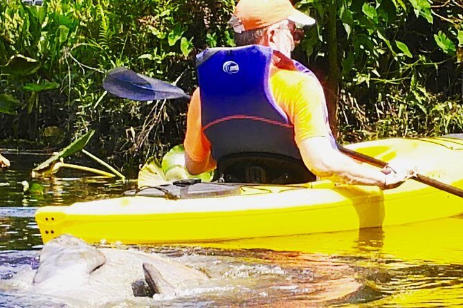 Orlando Manatee Encounters - Wildlife and Scenery
