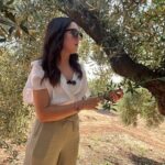 "Oro Bailén": Tour of Oro Bailen Grove + Mill + Tasting - Downsides and Considerations