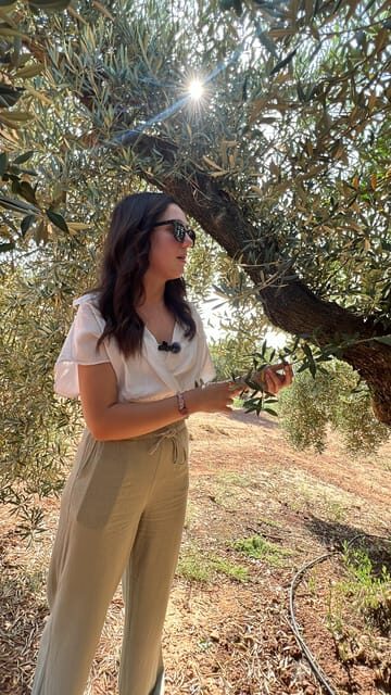 "Oro Bailén": Tour of Oro Bailen Grove + Mill + Tasting - Downsides and Considerations