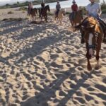 Orosei: horse riding on the beach - The Ride Itself