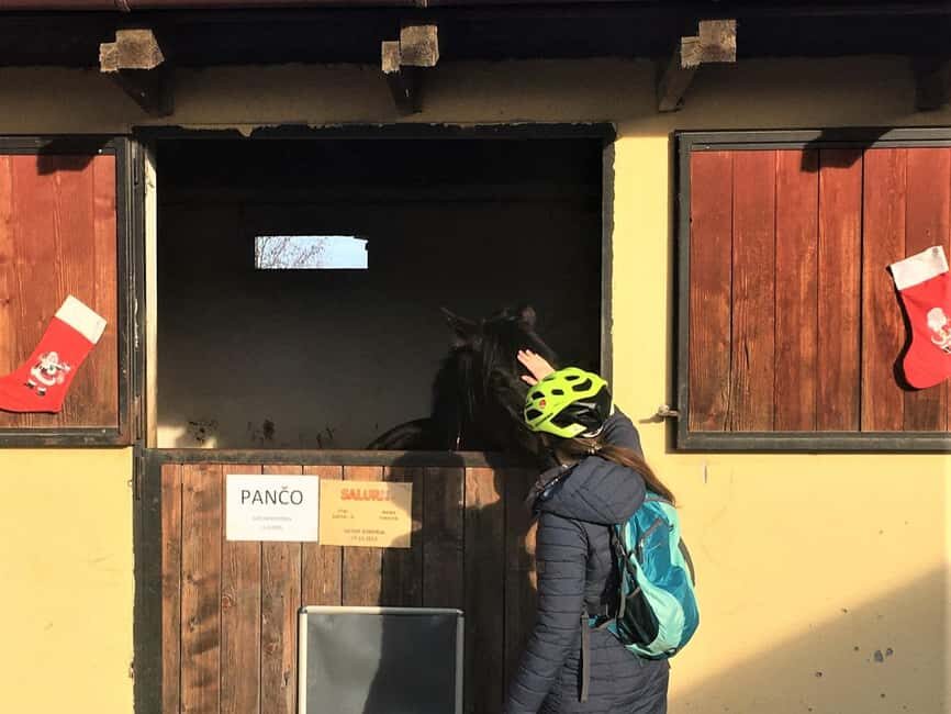 Oroslavje: E-Bike Tour with Wine Tasting and Snacks - Final Thoughts