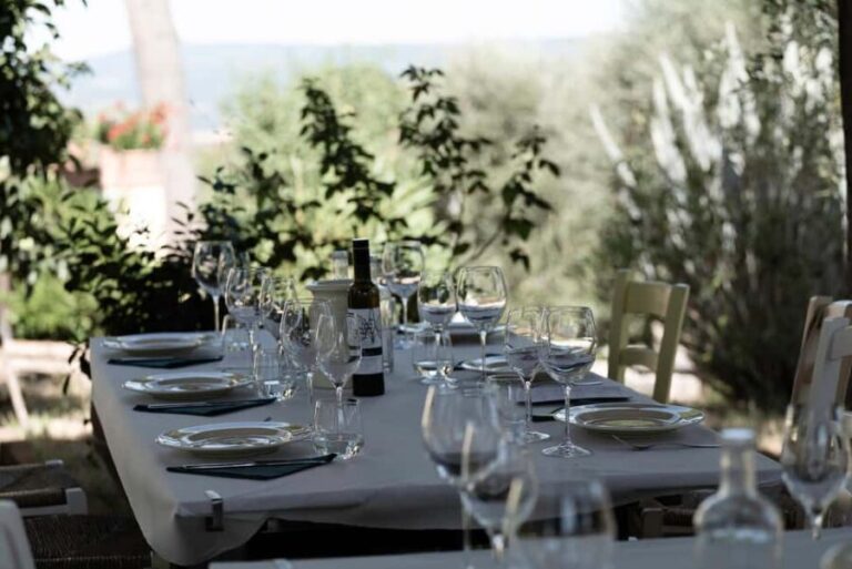 Orvieto: Classic Wine Tasting at Madonna del Latte - Who Should Consider This Tour?