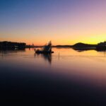 Oslo: City Walking Tour with Passionate Independent Guide - How the Experience Comes Alive