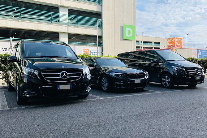 Oslo Cruise Port to Oslo Airport (OSL) - Departure Private Transfer - Who Will Love This Transfer?