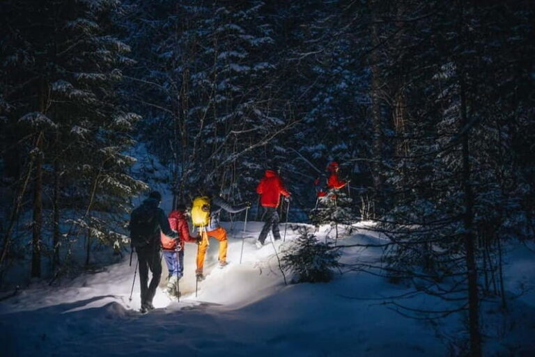 Oslo Forest: Private Mystery Nocturne Walk with Headlamps - Who Should Consider This Tour?