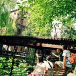 Oslo Panorama El-Bike Tour - Final Thoughts