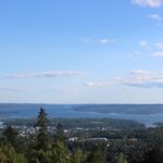 Oslo Panorama Tour with Holmenkollen Ski Jump and Vigeland Park - In-Depth Look at the Itinerary