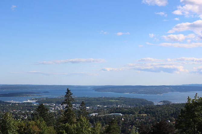 Oslo Panorama Tour with Holmenkollen Ski Jump and Vigeland Park - In-Depth Look at the Itinerary