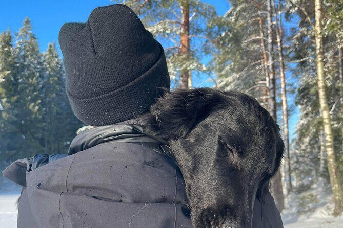 Oslo: Scenic Forest Hike with Dog & Local Guide - The Guided Experience