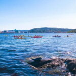 Oslo Sea Kayak Tour Fjord City - Who Will Love This Tour?