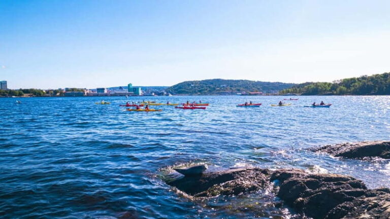 Oslo Sea Kayak Tour Fjord City - Who Will Love This Tour?