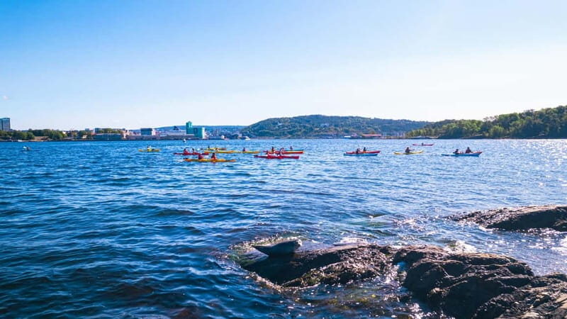 Oslo Sea Kayak Tour Fjord City - Who Will Love This Tour?