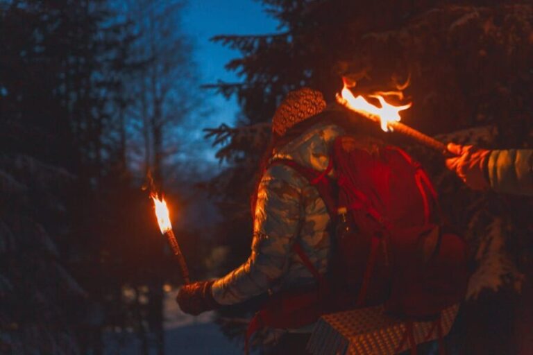 Oslo: Snowy Forest Torchlight Walk with Campfire - The Value of This Experience