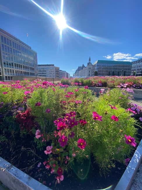 Oslo Walk:City Highlights & Hidden Gems_Private Walking Tour - Key Points