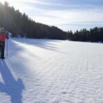Oslo: Wilderness Skiing Tour with Lunch by the Fire - The Practicalities: Price, Group Size, and Booking