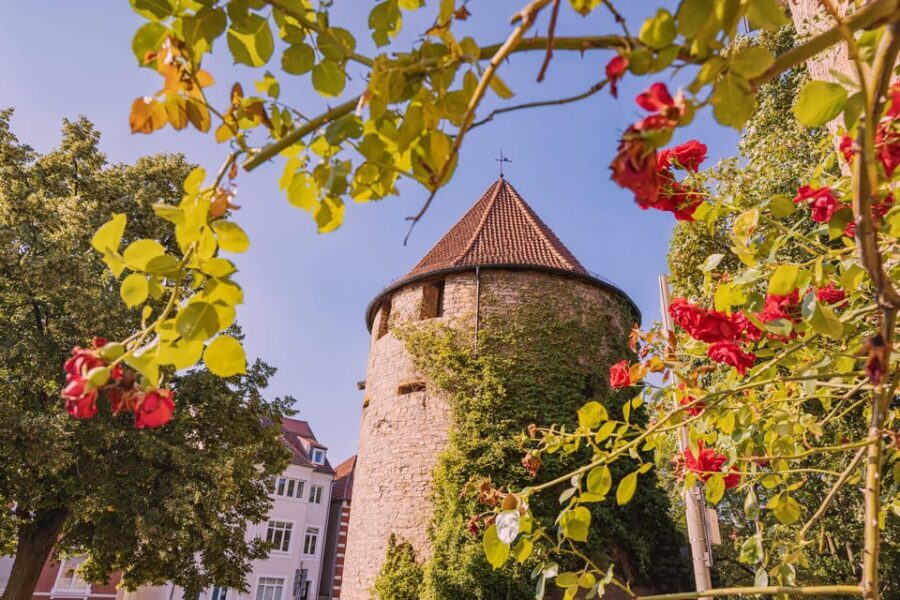 Osnabrück: Express Walk with a Local - The Itinerary Breakdown