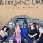 Osoyoos Full Day Lunch Wine Tour: Tasting Fees & Guide Grat Incl! - The Experience: Pros & Cons