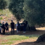 Ostuni: Masseria tour among thousand-year-old olive trees with oil tasting - Step-by-Step: What to Expect on the Tour