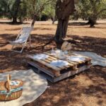Ostuni: San Vito dei Normani: Organic Picnic in Olive Grove - The Pros and Cons