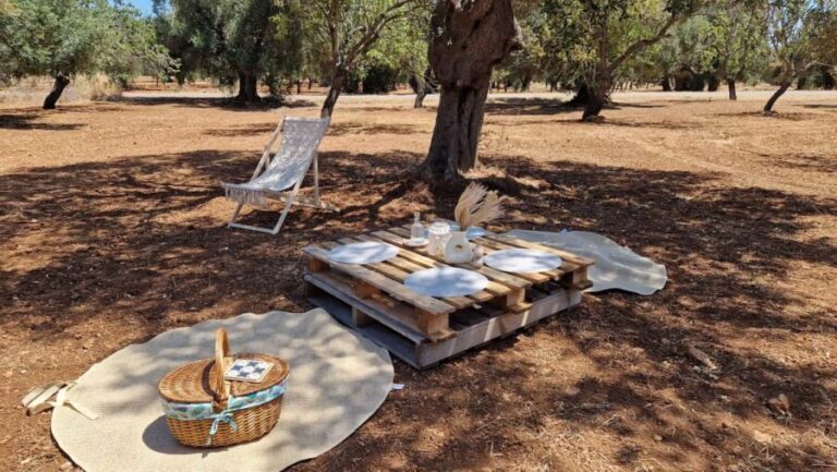 Ostuni: San Vito dei Normani: Organic Picnic in Olive Grove - The Pros and Cons