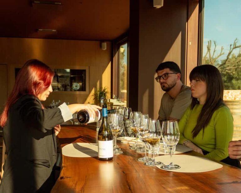 Ostuni's organic wines  tour and tasting in the winery - Who Is This Tour Best For?