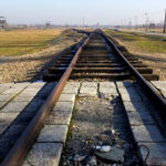 Oswiecim: Auschwitz-Birkenau Skip-the-Line Entry Tickets - How the Experience Feels
