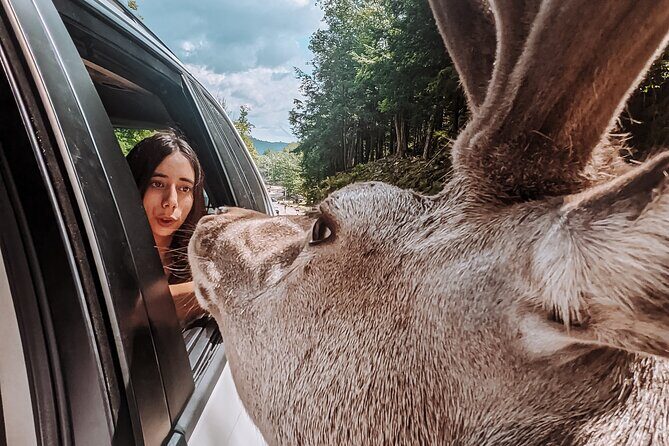 Ottawa Parc Omega Private Tour with Hotel Transfer - Authentic Experiences from Travelers