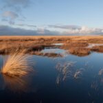 Otterlo: De Hoge Veluwe National Park Entry Ticket - Who is This Experience Best For?