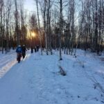 Oulu: Arctic Sea Bike Experience - Who Will Love This Tour?