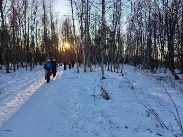 Oulu: Arctic Sea Bike Experience - Who Will Love This Tour?