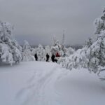 Oulu: Full-Day Trip to Syöte Fells and National Park - The Practicalities and What to Expect