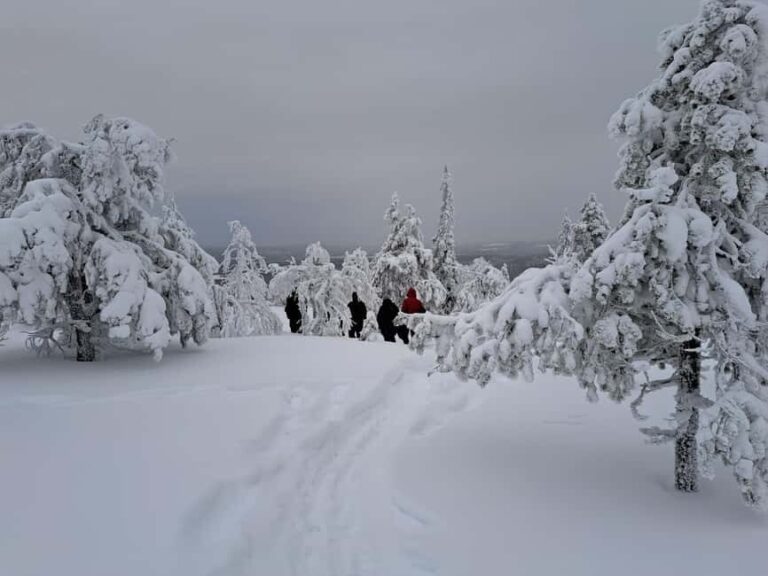 Oulu: Full-Day Trip to Syöte Fells and National Park - The Practicalities and What to Expect