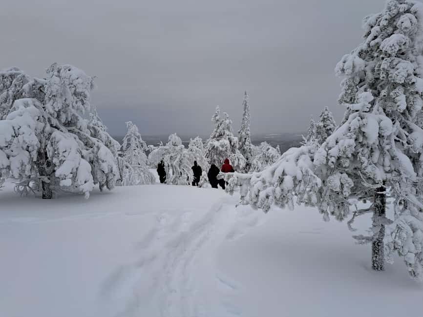 Oulu: Full-Day Trip to Syöte Fells and National Park - The Practicalities and What to Expect