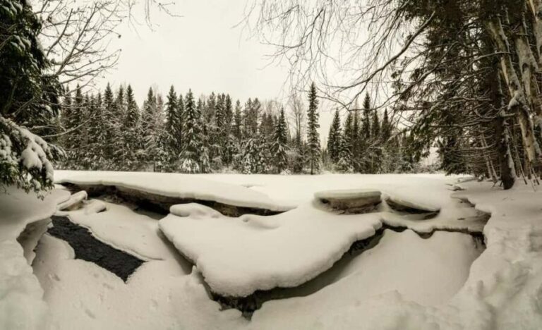 Oulu: Guided Winter Day Trip to Sanginjoki Nature Reserve - Practical Details and Considerations