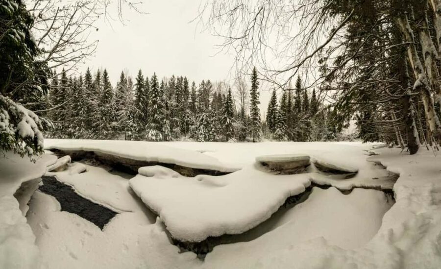 Oulu: Guided Winter Day Trip to Sanginjoki Nature Reserve - Practical Details and Considerations