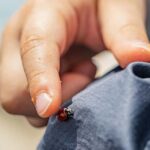 Oulu: Hietasaari Family Nature Walk with Picnic - What to Expect in More Detail