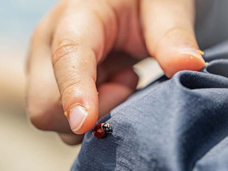 Oulu: Hietasaari Family Nature Walk with Picnic - What to Expect in More Detail