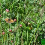 OUR FANTASTIC NATIONAL PARK! - Day One: Relaxing in Cogne