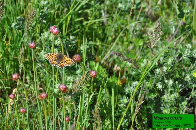 OUR FANTASTIC NATIONAL PARK! - Day One: Relaxing in Cogne